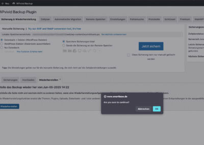 WPvivid Schritt 4